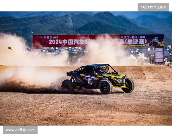 国内汽车赛事简称-中国汽车赛车队排名