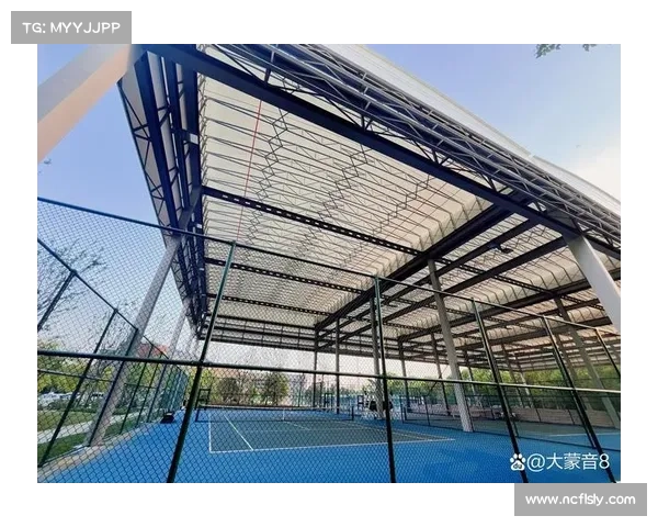 虚拟私有服务器VPS竞技盛典全球精英云端对决技术革新荣耀时刻